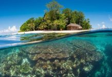 Du lịch đảo Sipadan - chinh phục hòn đảo đẹp nhất Malaysia